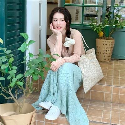 飞机总动员2:打火英雄